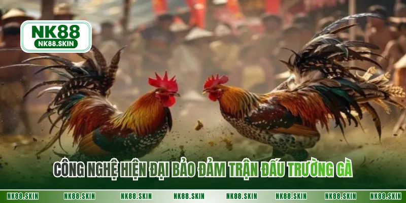 Công nghệ hiện đại bảo đảm trận đấu trường gà