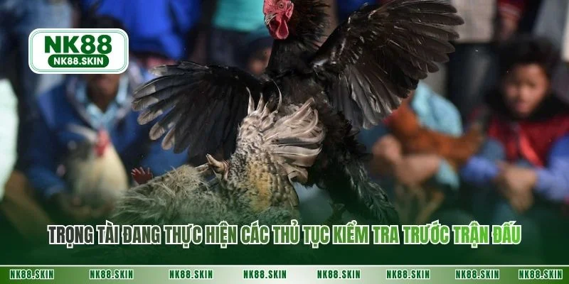 Trọng tài đang thực hiện các thủ tục kiểm tra trước trận đấu